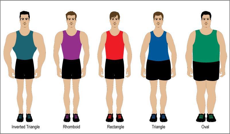 Inverted triangle body shape male online workout